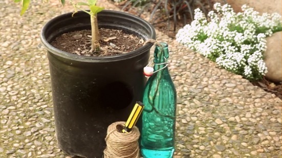 Αυτοποτιζόμενη γλάστρα με γυάλινο μπουκάλι: ποτίστε τα φυτά σας ενώ είστε διακοπές!